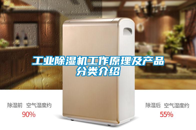 工業(yè)除濕機工作原理及產(chǎn)品分類介紹