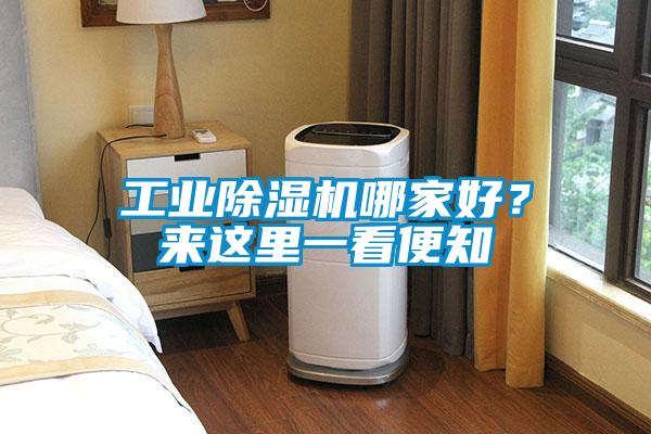 工業(yè)除濕機(jī)哪家好？來(lái)這里一看便知
