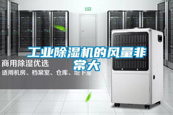 工業(yè)除濕機的風(fēng)量非常大
