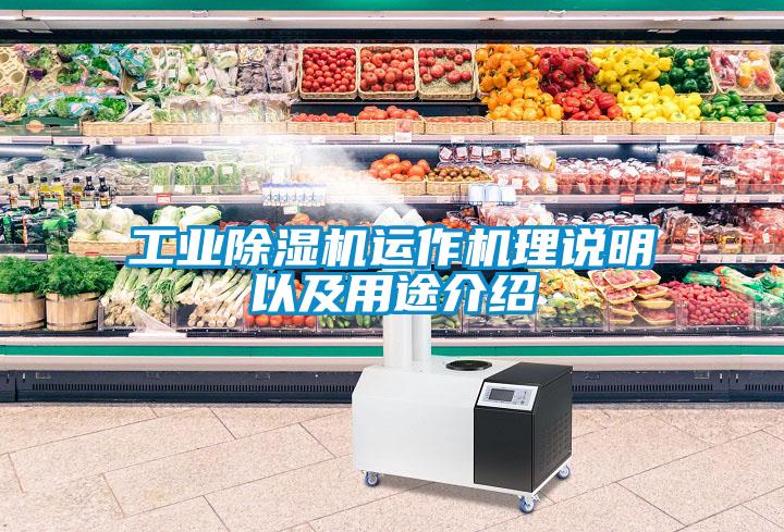 工業(yè)除濕機(jī)運(yùn)作機(jī)理說(shuō)明以及用途介紹