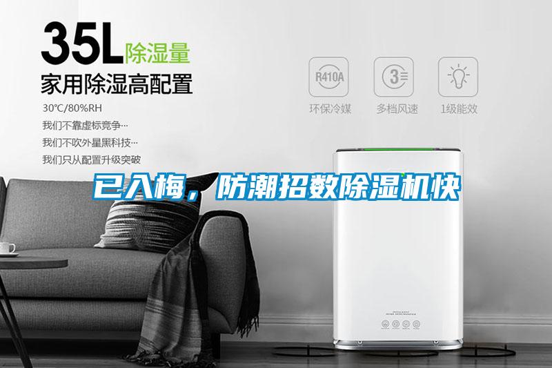 已入梅，防潮招數除濕機快