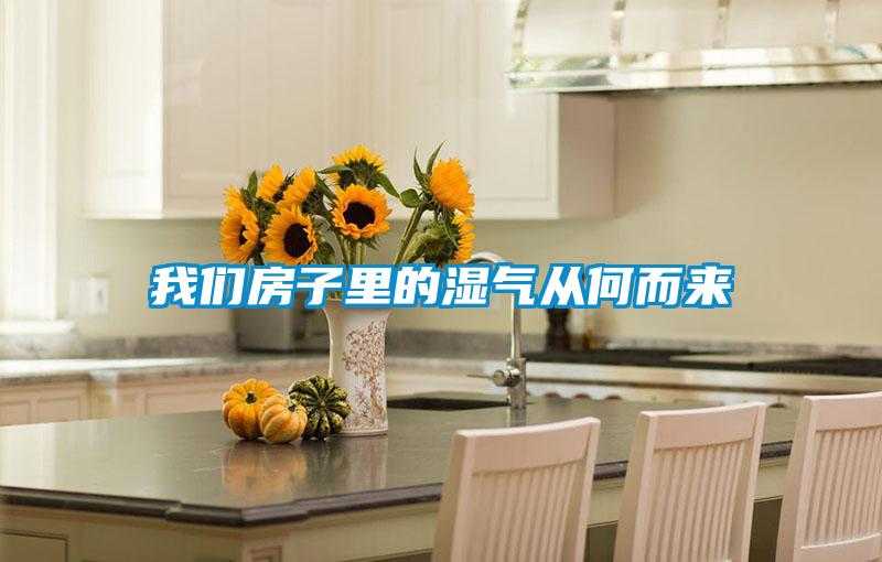 我們房子里的濕氣從何而來(lái)