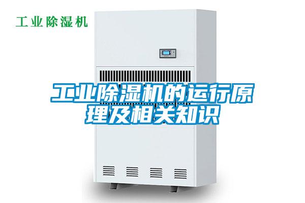 工業(yè)除濕機的運行原理及相關知識
