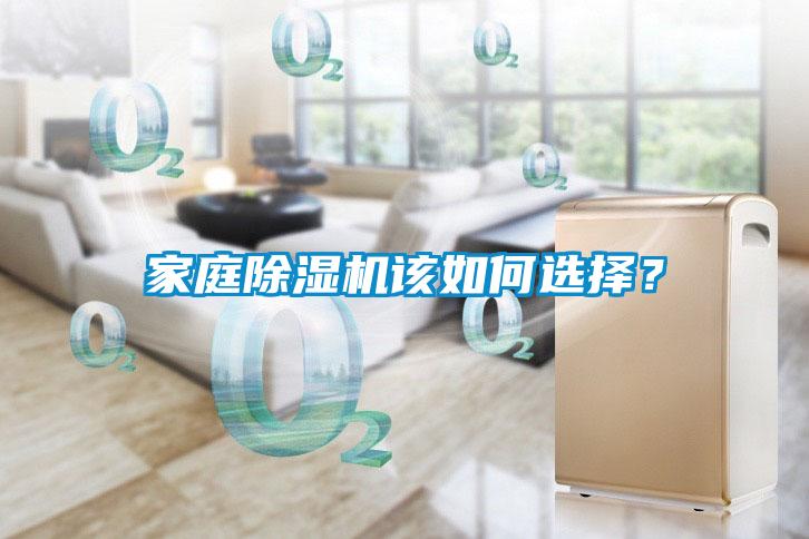 家庭除濕機該如何選擇？