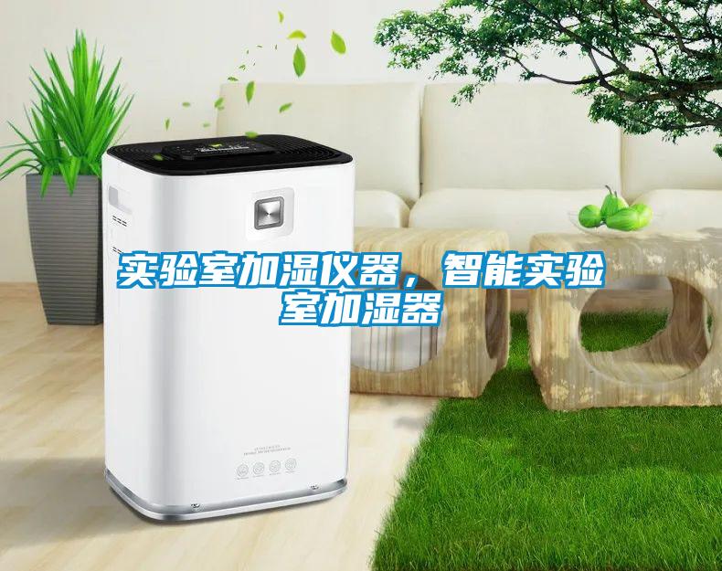 實驗室加濕儀器，智能實驗室加濕器