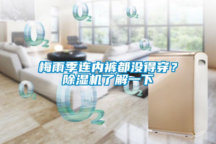 梅雨季連內(nèi)褲都沒得穿？除濕機(jī)了解一下