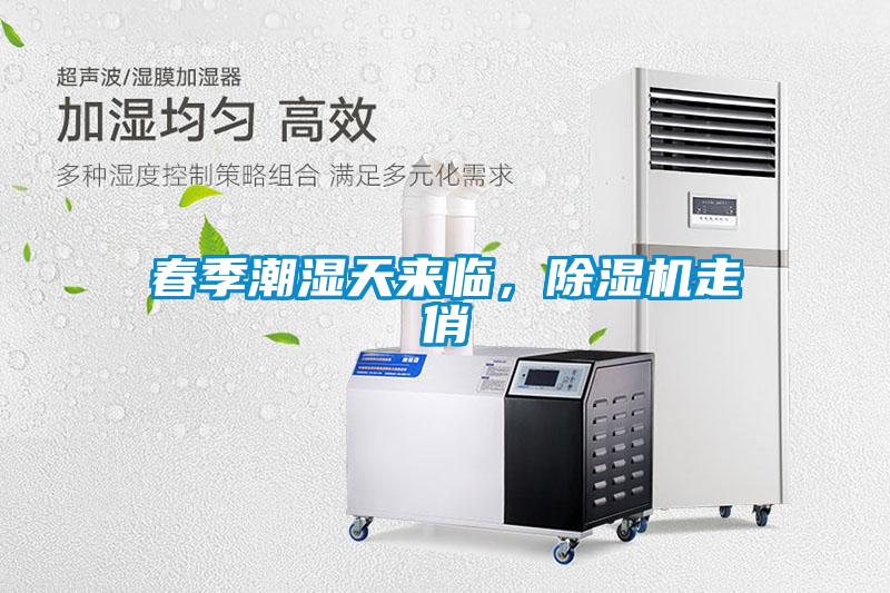 春季潮濕天來臨，除濕機走俏