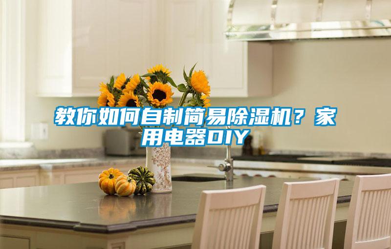 教你如何自制簡易除濕機？家用電器DIY