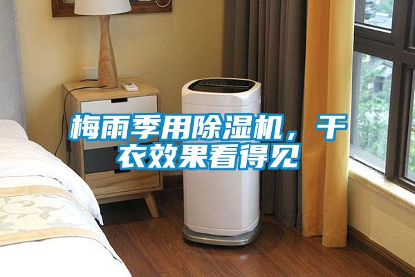 梅雨季用除濕機(jī)，干衣效果看得見