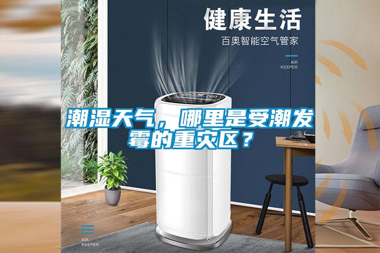潮濕天氣，哪里是受潮發霉的重災區？