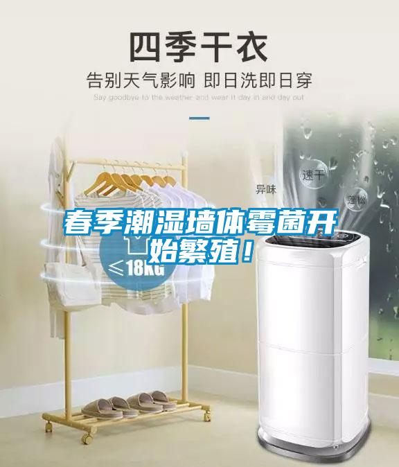 春季潮濕墻體霉菌開始繁殖！