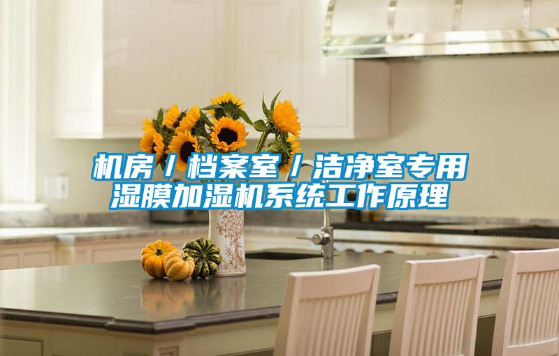 機房／檔案室／潔凈室專用濕膜加濕機系統(tǒng)工作原理