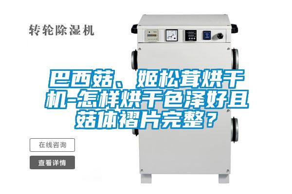 巴西菇、姬松茸烘干機-怎樣烘干色澤好且菇體褶片完整？