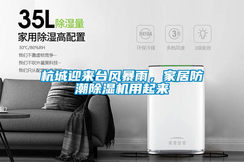 杭城迎來(lái)臺(tái)風(fēng)暴雨，家居防潮除濕機(jī)用起來(lái)