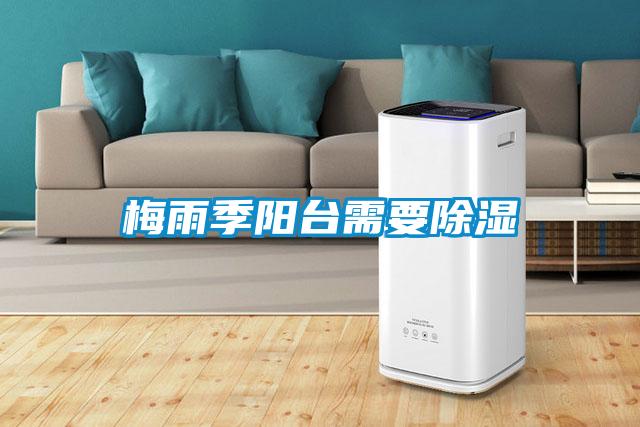 梅雨季陽(yáng)臺(tái)需要除濕