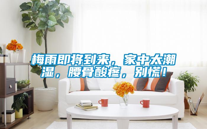梅雨即將到來，家中太潮濕，腰骨酸疼，別慌！
