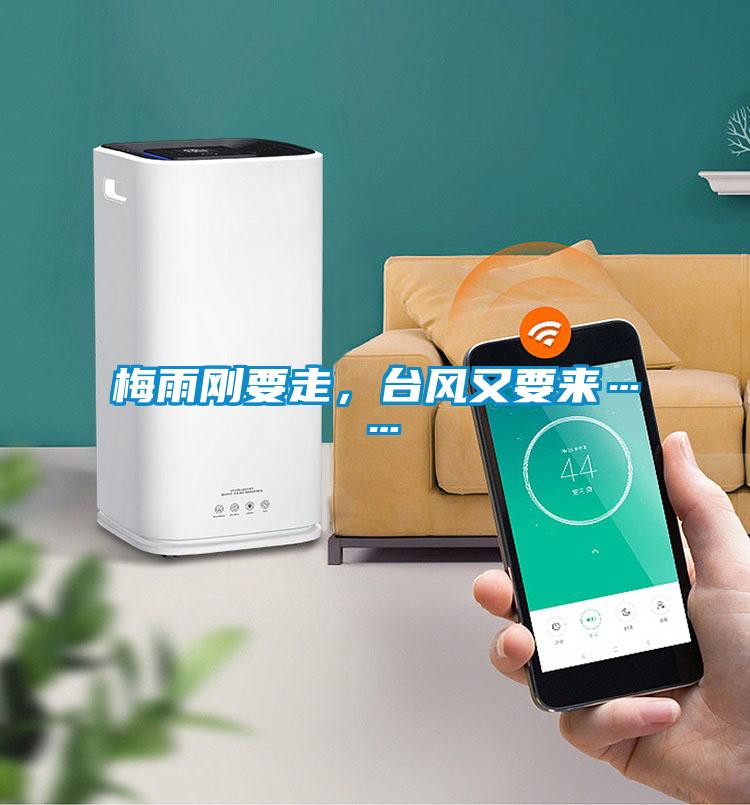梅雨剛要走，臺風(fēng)又要來……
