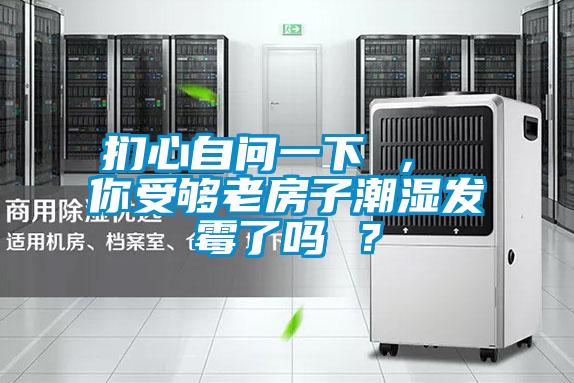 捫心自問一下 ， 你受夠老房子潮濕發霉了嗎 ？