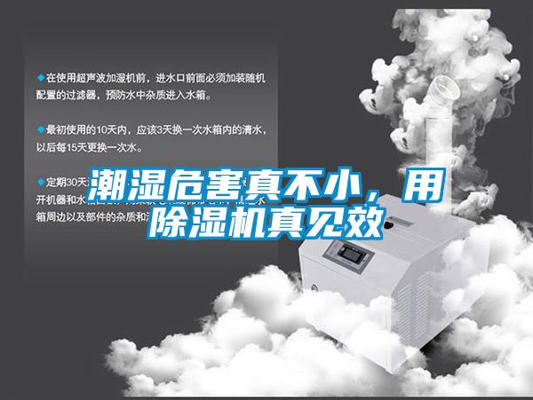 潮濕危害真不小，用除濕機(jī)真見效
