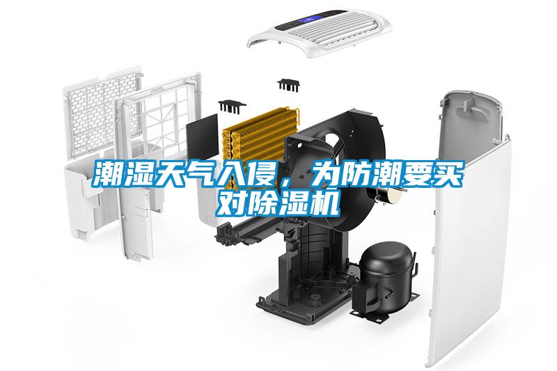潮濕天氣入侵，為防潮要買對除濕機