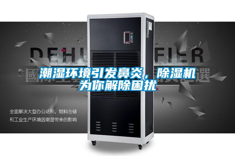 潮濕環(huán)境引發(fā)鼻炎，除濕機(jī)為你解除困擾