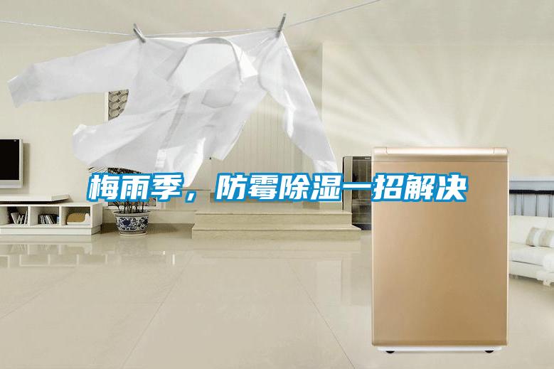 梅雨季，防霉除濕一招解決