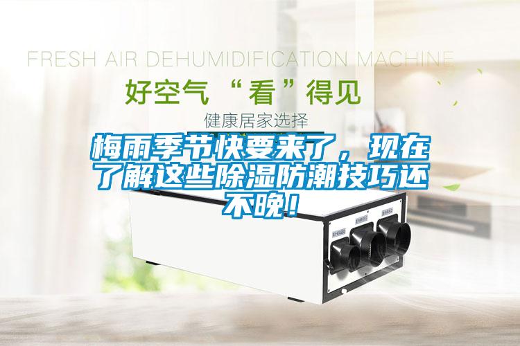 梅雨季節快要來了，現在了解這些除濕防潮技巧還不晚！