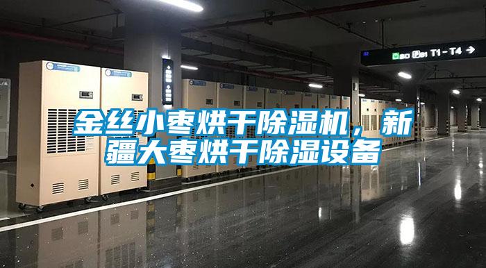 金絲小棗烘干除濕機，新疆大棗烘干除濕設(shè)備