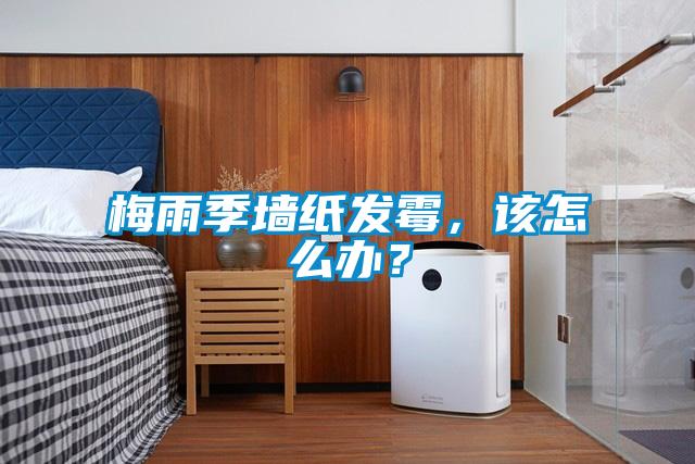 梅雨季墻紙發霉，該怎么辦？