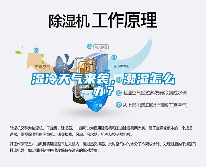 濕冷天氣來襲，潮濕怎么辦？