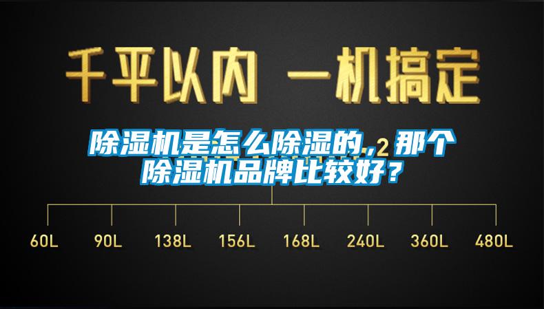 除濕機(jī)是怎么除濕的，那個(gè)除濕機(jī)品牌比較好？