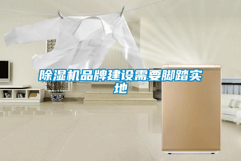 除濕機品牌建設(shè)需要腳踏實地