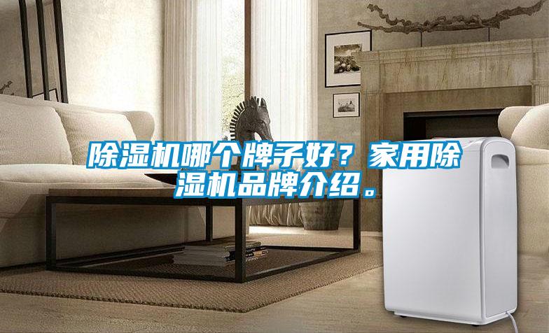 除濕機哪個牌子好？家用除濕機品牌介紹。