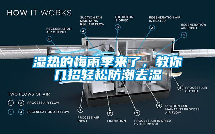 濕熱的梅雨季來(lái)了，教你幾招輕松防潮去濕
