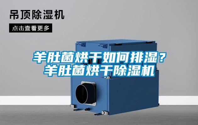 羊肚菌烘干如何排濕？羊肚菌烘干除濕機(jī)