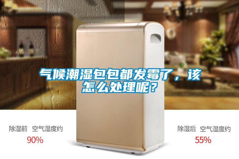 氣候潮濕包包都發(fā)霉了，該怎么處理呢？