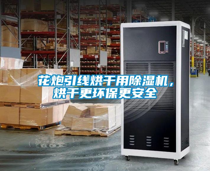 花炮引線烘干用除濕機，烘干更環保更安全