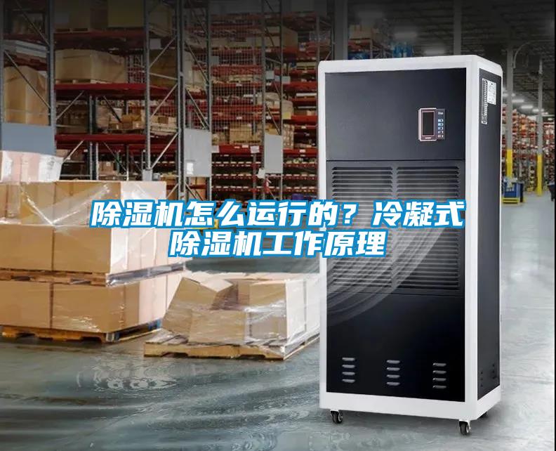 除濕機(jī)怎么運行的？冷凝式除濕機(jī)工作原理