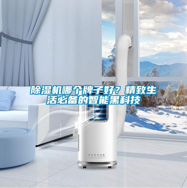 除濕機哪個牌子好？精致生活必備的智能黑科技