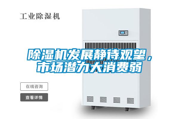 除濕機(jī)發(fā)展靜待觀望，市場潛力大消費(fèi)弱