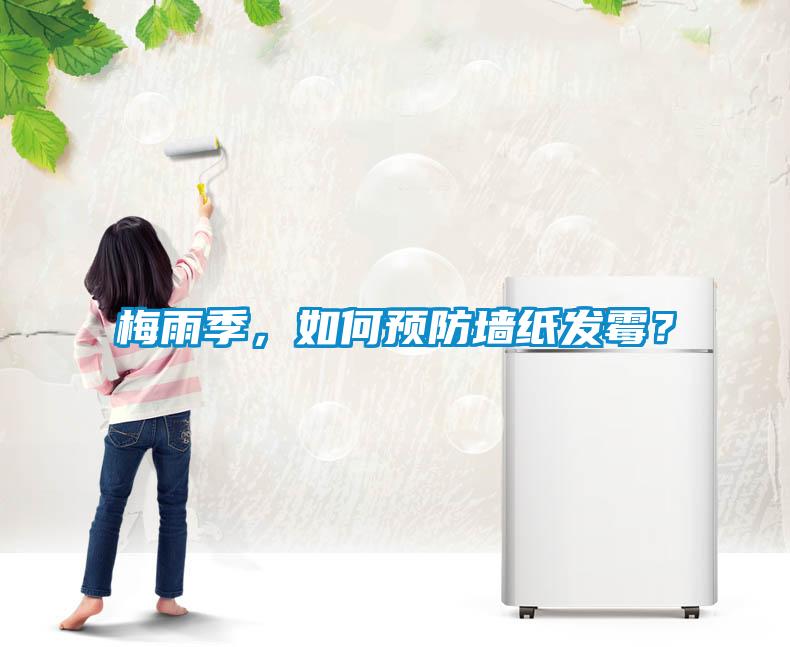 梅雨季，如何預防墻紙發霉？