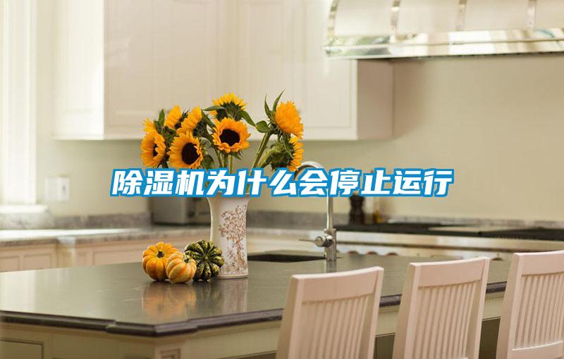 除濕機(jī)為什么會停止運(yùn)行