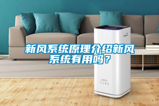 新風系統(tǒng)原理介紹新風系統(tǒng)有用嗎？