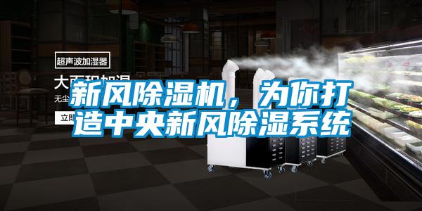 新風除濕機，為你打造中央新風除濕系統