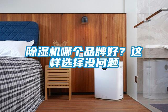 除濕機哪個品牌好？這樣選擇沒問題