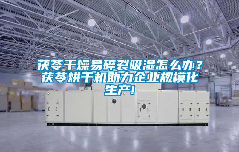 茯苓干燥易碎裂吸濕怎么辦？茯苓烘干機(jī)助力企業(yè)規(guī)模化生產(chǎn)!