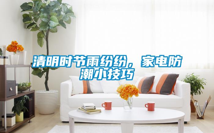 清明時節雨紛紛，家電防潮小技巧