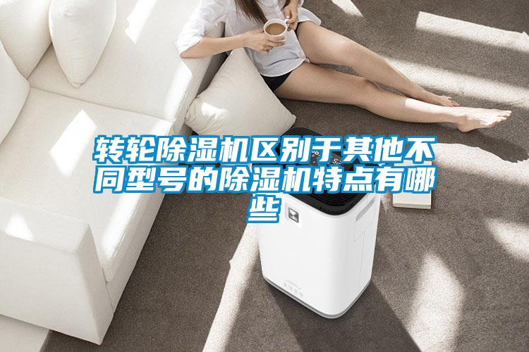 轉(zhuǎn)輪除濕機區(qū)別于其他不同型號的除濕機特點有哪些
