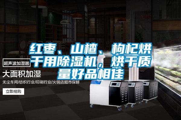 紅棗、山楂、枸杞烘干用除濕機(jī)，烘干質(zhì)量好品相佳
