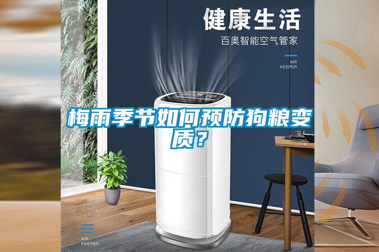 梅雨季節如何預防狗糧變質？